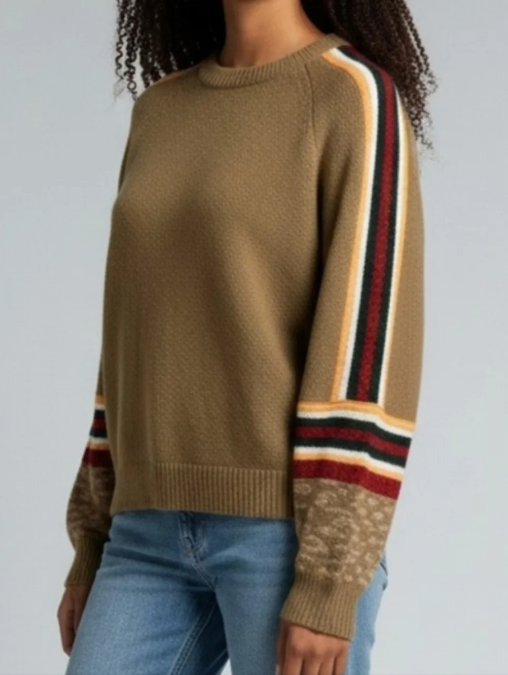 BiBi Women's Olive Brown Sweater with Colorful Sleeve Stripes And Animal Print S